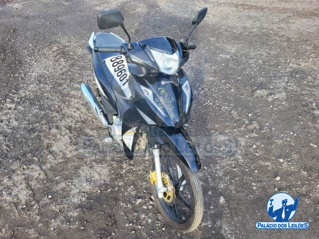 LOTE 03 AVELLOZ AZ1 50 2024/2024 