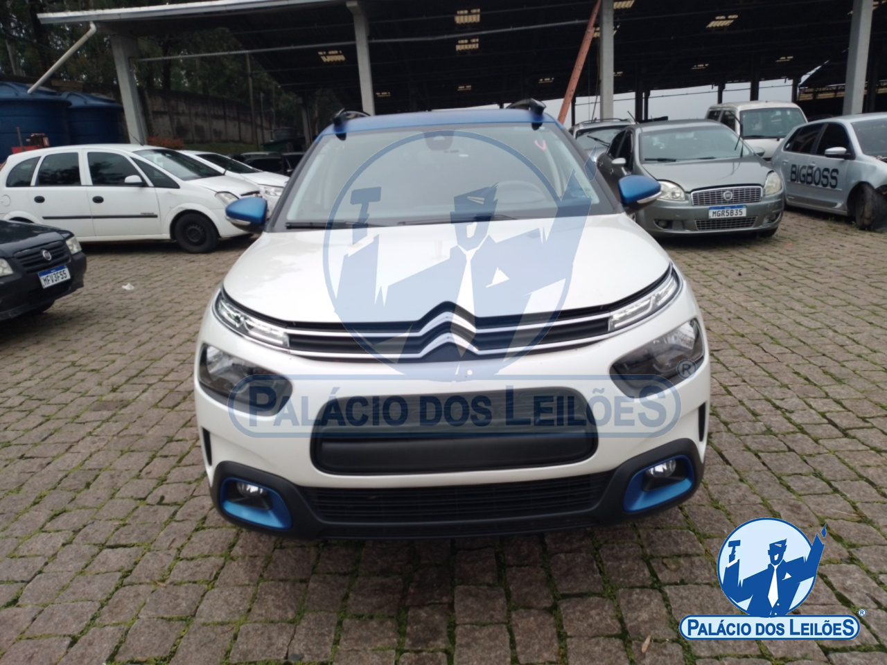 LOTE 25 CITROEN/C4 CACTUS SHINE T FLEX 2021/2022